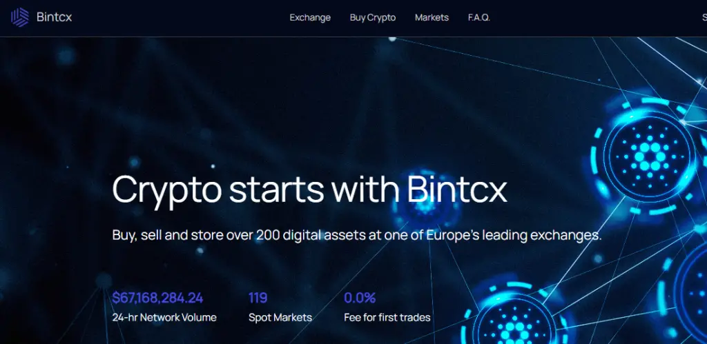 Bintcx.com Image