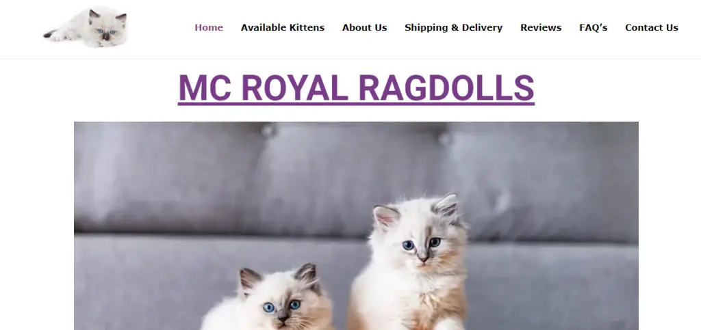 Mcroyalragdolls.com Scam